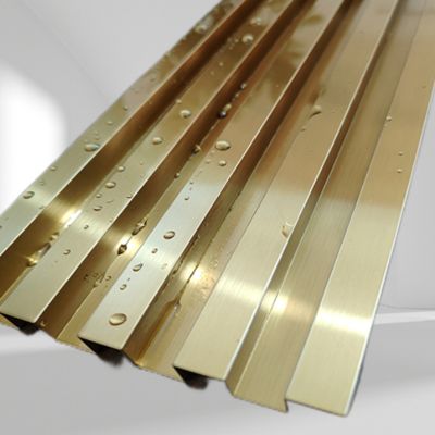 Good price Long-Lasting And Scratch-Resistant Great Wall Panel Stainless Steel Trim Strips For Design Professionals online