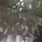 Manufacturers Supply High-Quality Textured  Etched Stainless Steel Sheets