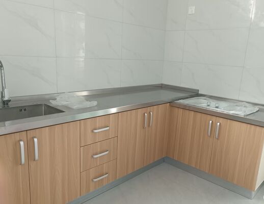 Good price 25-Inch Scratch Proof Stainless Steel Laundry Sink, Utility Sink, Topmount online