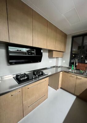 Good price 28-Inch Scratch Resistant Stainless Steel Sink with Ledge, Single Bowl Workstation
 online